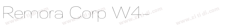 Remora Corp W4字体转换